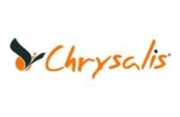 chrysalis